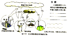 由植物制成的喷气燃料与传统的化石燃料相比具有成本竞争力