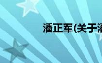 潘正军(关于潘正军的简介)