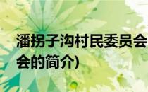 潘拐子沟村民委员会(关于潘拐子沟村民委员会的简介)