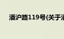 潘沪路119号(关于潘沪路119号的简介)