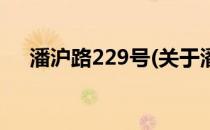 潘沪路229号(关于潘沪路229号的简介)