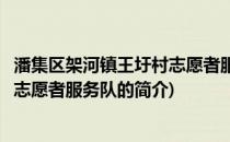 潘集区架河镇王圩村志愿者服务队(关于潘集区架河镇王圩村志愿者服务队的简介)