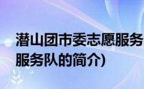 潜山团市委志愿服务队(关于潜山团市委志愿服务队的简介)