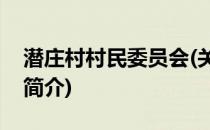 潜庄村村民委员会(关于潜庄村村民委员会的简介)