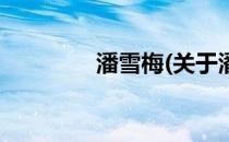 潘雪梅(关于潘雪梅的简介)