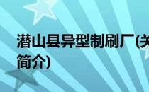 潜山县异型制刷厂(关于潜山县异型制刷厂的简介)