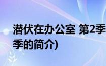 潜伏在办公室 第2季(关于潜伏在办公室 第2季的简介)