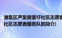 潘集区芦集镇董圩社区志愿者服务队(关于潘集区芦集镇董圩社区志愿者服务队的简介)