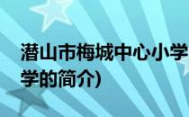 潜山市梅城中心小学(关于潜山市梅城中心小学的简介)