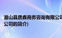 潜山县唐鑫商务咨询有限公司(关于潜山县唐鑫商务咨询有限公司的简介)