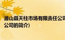 潜山县天柱市场有限责任公司(关于潜山县天柱市场有限责任公司的简介)