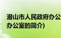 潜山市人民政府办公室(关于潜山市人民政府办公室的简介)