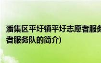 潘集区平圩镇平圩志愿者服务队(关于潘集区平圩镇平圩志愿者服务队的简介)