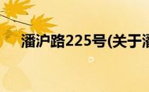 潘沪路225号(关于潘沪路225号的简介)