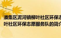 潘集区泥河镇柳叶社区环保志愿服务队(关于潘集区泥河镇柳叶社区环保志愿服务队的简介)