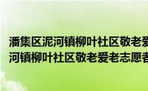 潘集区泥河镇柳叶社区敬老爱老志愿者服务队(关于潘集区泥河镇柳叶社区敬老爱老志愿者服务队的简介)