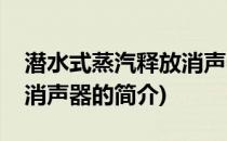 潜水式蒸汽释放消声器(关于潜水式蒸汽释放消声器的简介)