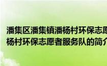 潘集区潘集镇潘杨村环保志愿者服务队(关于潘集区潘集镇潘杨村环保志愿者服务队的简介)