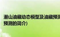 潜山油藏动态模型及油藏预测(关于潜山油藏动态模型及油藏预测的简介)