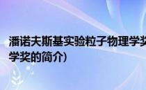 潘诺夫斯基实验粒子物理学奖(关于潘诺夫斯基实验粒子物理学奖的简介)