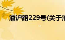 潘沪路229号(关于潘沪路229号的简介)