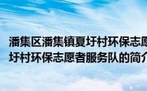 潘集区潘集镇夏圩村环保志愿者服务队(关于潘集区潘集镇夏圩村环保志愿者服务队的简介)