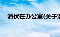 潜伏在办公室(关于潜伏在办公室的简介)