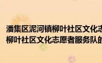 潘集区泥河镇柳叶社区文化志愿者服务队(关于潘集区泥河镇柳叶社区文化志愿者服务队的简介)