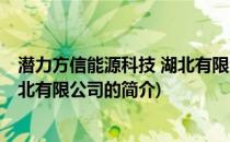 潜力方信能源科技 湖北有限公司(关于潜力方信能源科技 湖北有限公司的简介)