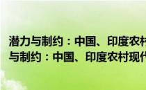 潜力与制约：中国、印度农村现代化发展比较研究(关于潜力与制约：中国、印度农村现代化发展比较研究的简介)