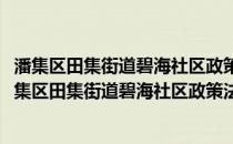 潘集区田集街道碧海社区政策法规宣传志愿者服务队(关于潘集区田集街道碧海社区政策法规宣传志愿者服务队的简介)