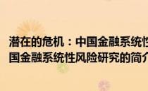 潜在的危机：中国金融系统性风险研究(关于潜在的危机：中国金融系统性风险研究的简介)