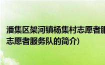 潘集区架河镇杨集村志愿者服务队(关于潘集区架河镇杨集村志愿者服务队的简介)