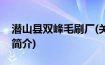 潜山县双峰毛刷厂(关于潜山县双峰毛刷厂的简介)