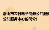 潜山市农村电子商务公共服务中心(关于潜山市农村电子商务公共服务中心的简介)