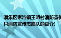 潘集区家沟镇王咀村消防宣传志愿队(关于潘集区家沟镇王咀村消防宣传志愿队的简介)