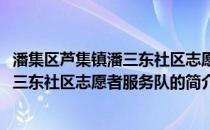 潘集区芦集镇潘三东社区志愿者服务队(关于潘集区芦集镇潘三东社区志愿者服务队的简介)