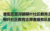 潘集区泥河镇柳叶社区教育志愿者服务队(关于潘集区泥河镇柳叶社区教育志愿者服务队的简介)