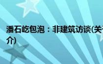 潘石屹包泡：非建筑访谈(关于潘石屹包泡：非建筑访谈的简介)