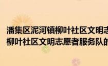 潘集区泥河镇柳叶社区文明志愿者服务队(关于潘集区泥河镇柳叶社区文明志愿者服务队的简介)