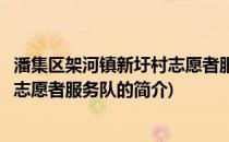 潘集区架河镇新圩村志愿者服务队(关于潘集区架河镇新圩村志愿者服务队的简介)