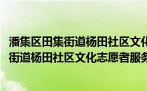 潘集区田集街道杨田社区文化志愿者服务队(关于潘集区田集街道杨田社区文化志愿者服务队的简介)