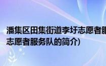 潘集区田集街道李圩志愿者服务队(关于潘集区田集街道李圩志愿者服务队的简介)