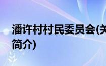 潘许村村民委员会(关于潘许村村民委员会的简介)