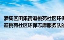 潘集区田集街道桃苑社区环保志愿服务队(关于潘集区田集街道桃苑社区环保志愿服务队的简介)