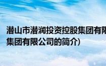 潜山市潜润投资控股集团有限公司(关于潜山市潜润投资控股集团有限公司的简介)