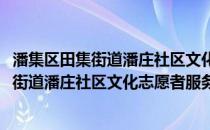 潘集区田集街道潘庄社区文化志愿者服务队(关于潘集区田集街道潘庄社区文化志愿者服务队的简介)