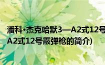 潘科·杰克哈默3—A2式12号霰弹枪(关于潘科·杰克哈默3—A2式12号霰弹枪的简介)