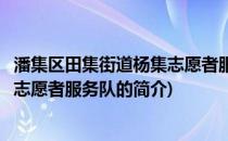 潘集区田集街道杨集志愿者服务队(关于潘集区田集街道杨集志愿者服务队的简介)