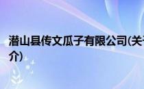 潜山县传文瓜子有限公司(关于潜山县传文瓜子有限公司的简介)